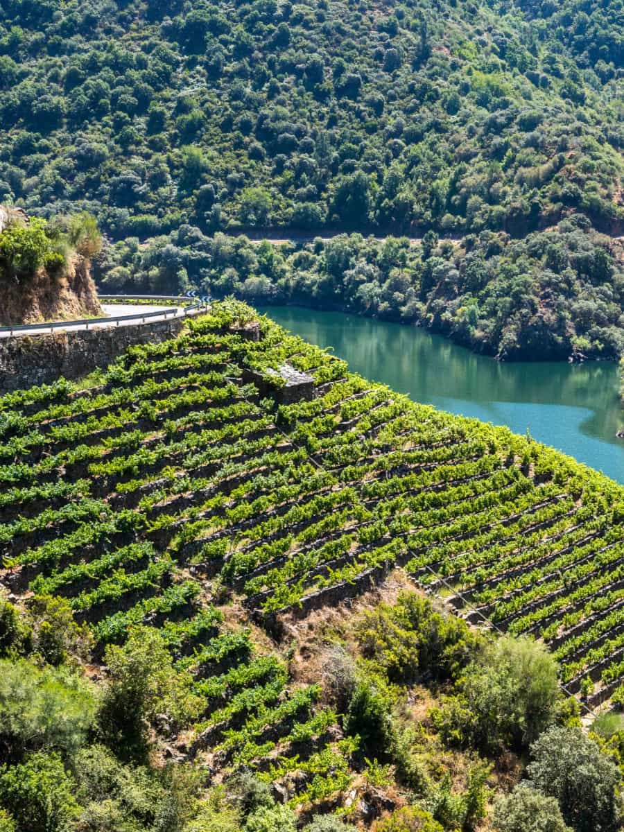 Ribeira Sacra, Galicia