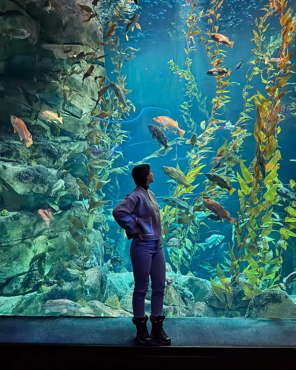 Ripley's Aquarium of Canada Ripley's Aquarium of Canada