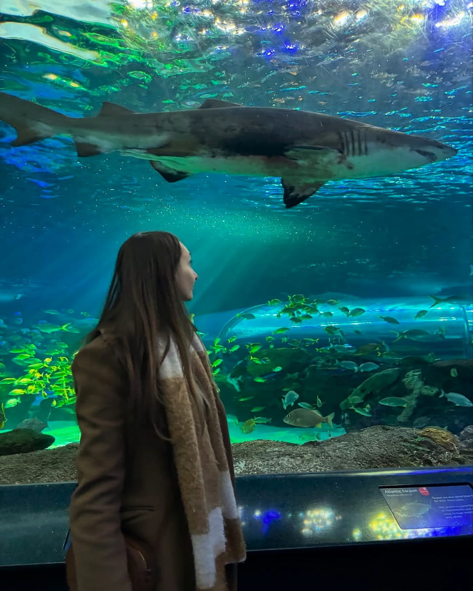 Ripley's Aquarium of Canada Ripley's Aquarium of Canada