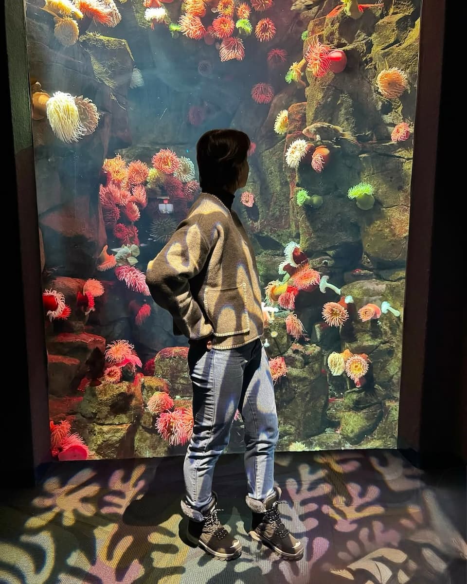 Ripley's Aquarium of Canada Ripley's Aquarium of Canada