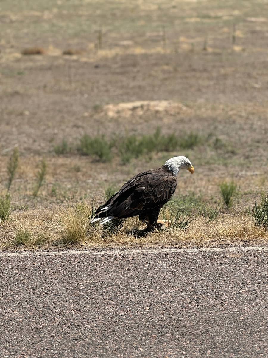 Rocky Mountain Arsenal National Wildlife Refuge Rocky Mountain Arsenal National Wildlife Refuge