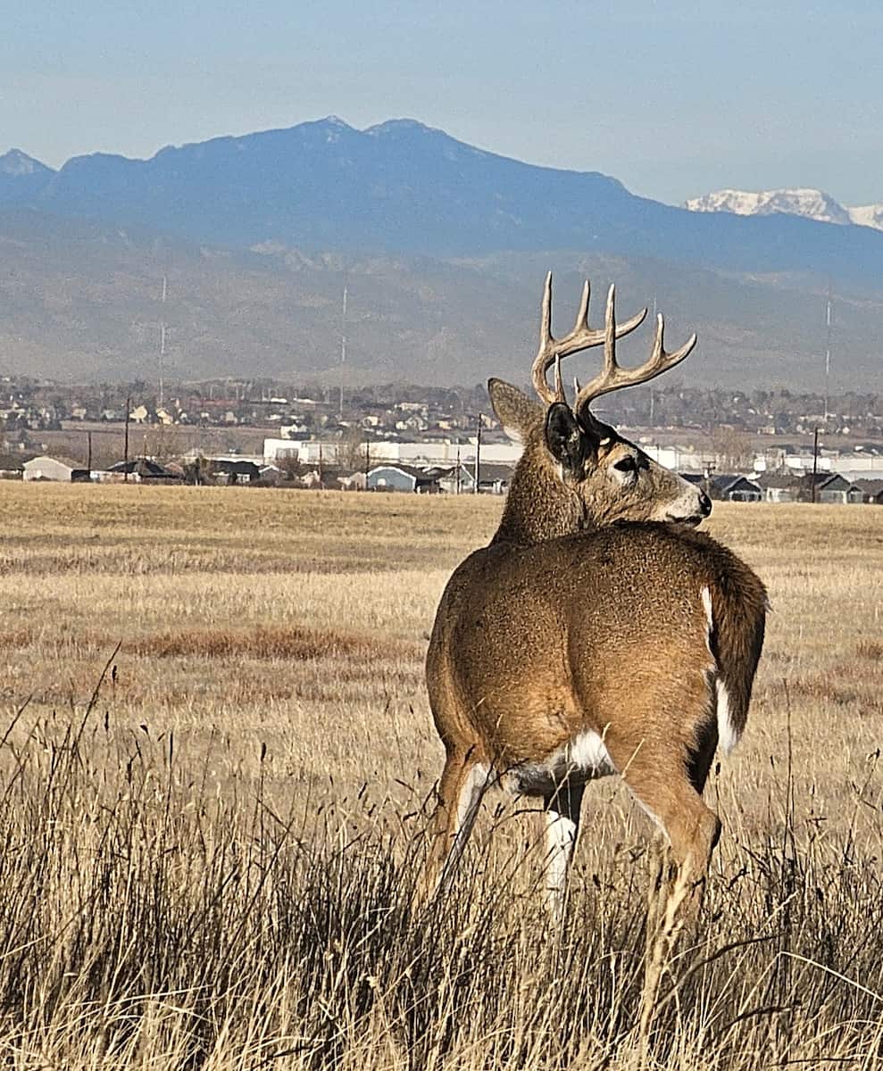 Rocky Mountain Arsenal National Wildlife Refuge Rocky Mountain Arsenal National Wildlife Refuge