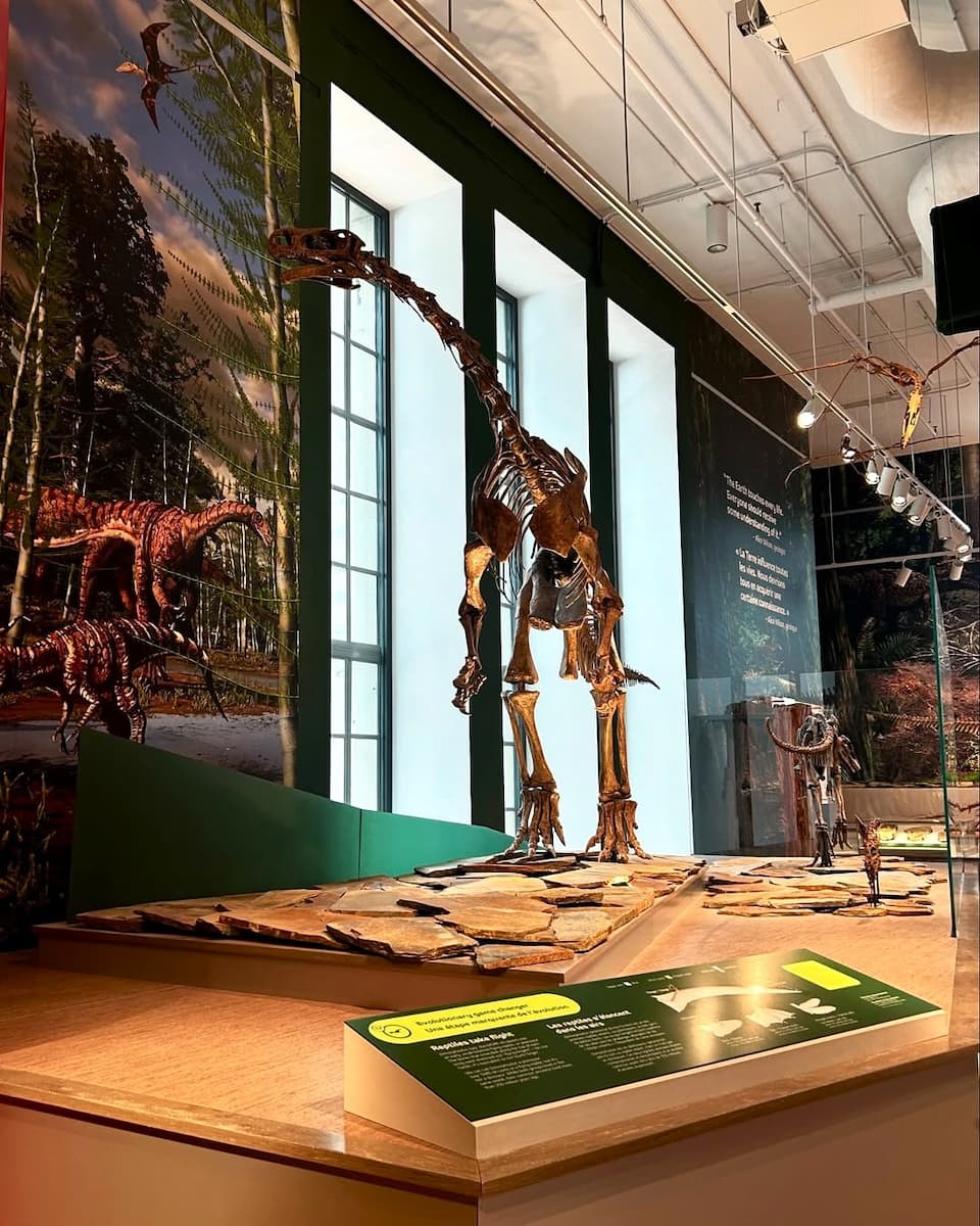 Royal Ontario Museum, Toronto Royal Ontario Museum, Toronto