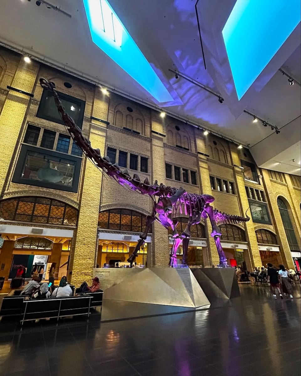 Royal Ontario Museum, Toronto Royal Ontario Museum, Toronto