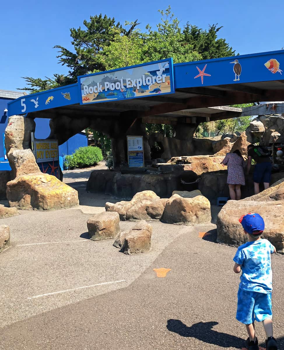 SEA LIFE Centre Weymouth, South West England SEA LIFE Centre Weymouth, South West England