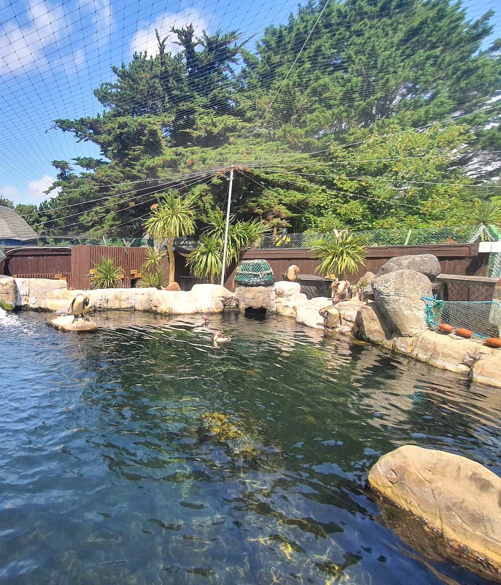 SEA LIFE Centre Weymouth, South West England SEA LIFE Centre Weymouth, South West England