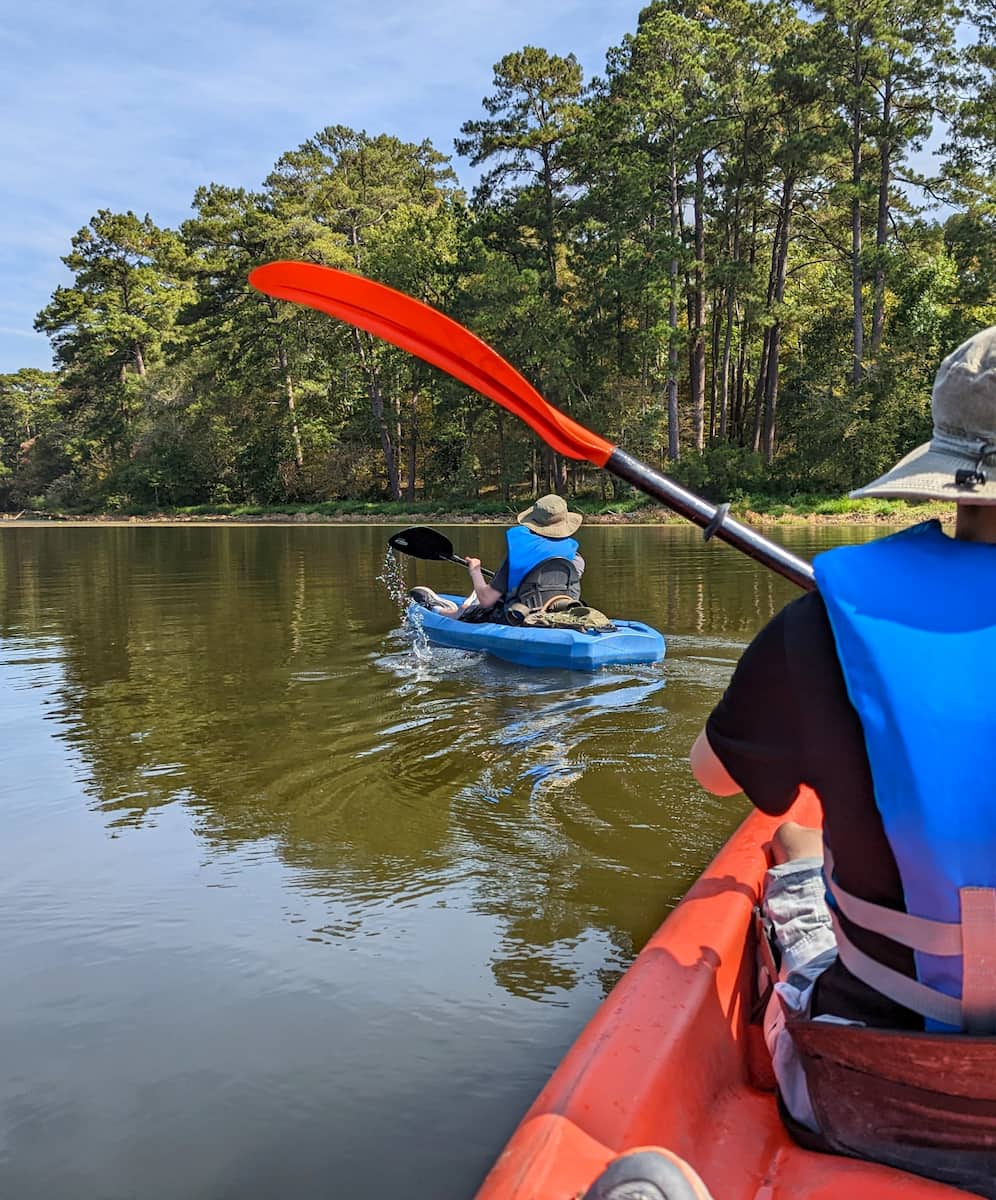 Sam Houston National Forest Texas Sam Houston National Forest Texas