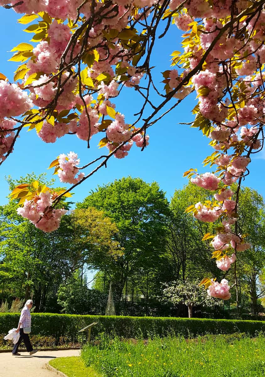 Schulgarten in spring Lübeck Schulgarten in spring Lübeck