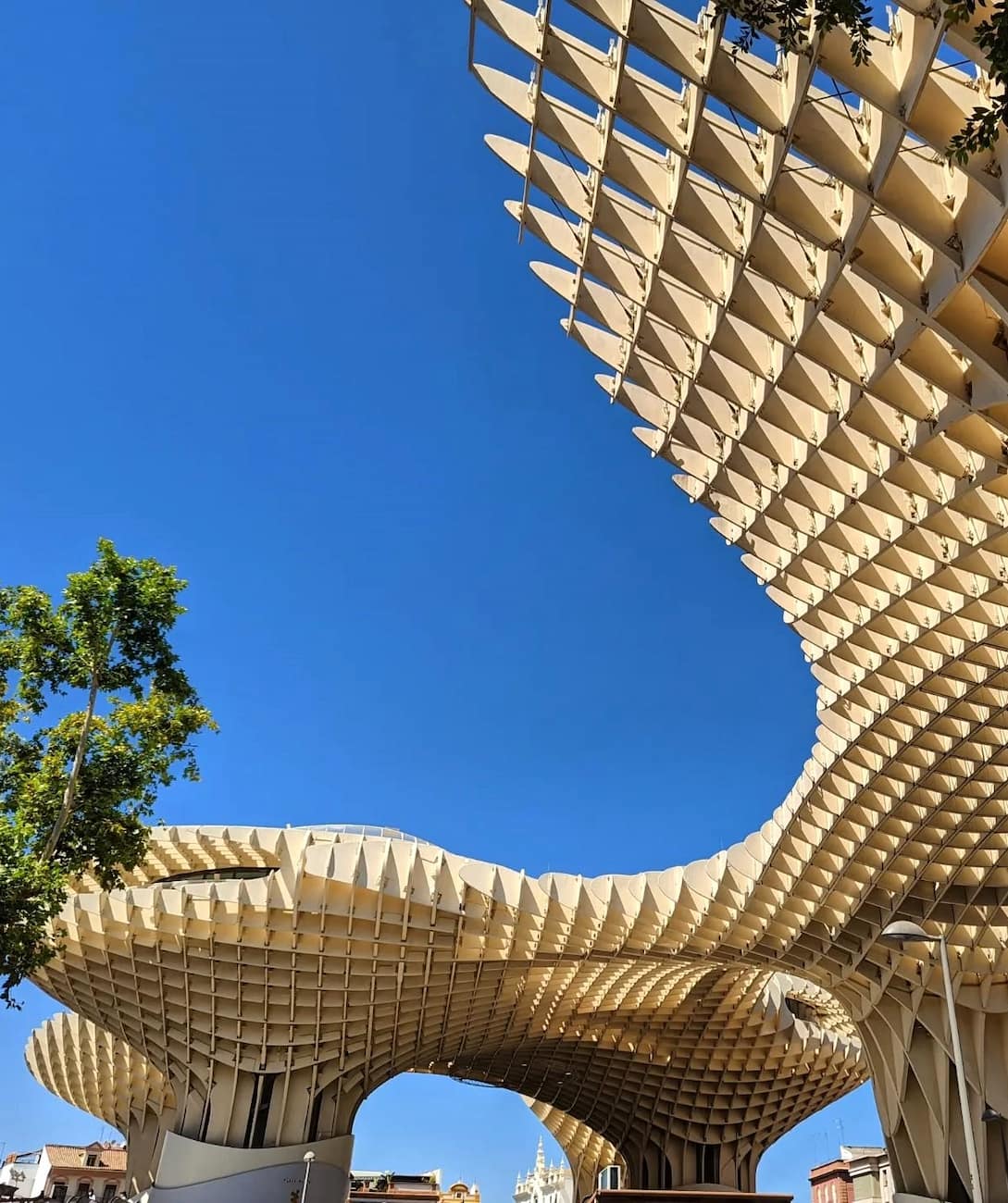 Setas de Sevilla, Andalusia