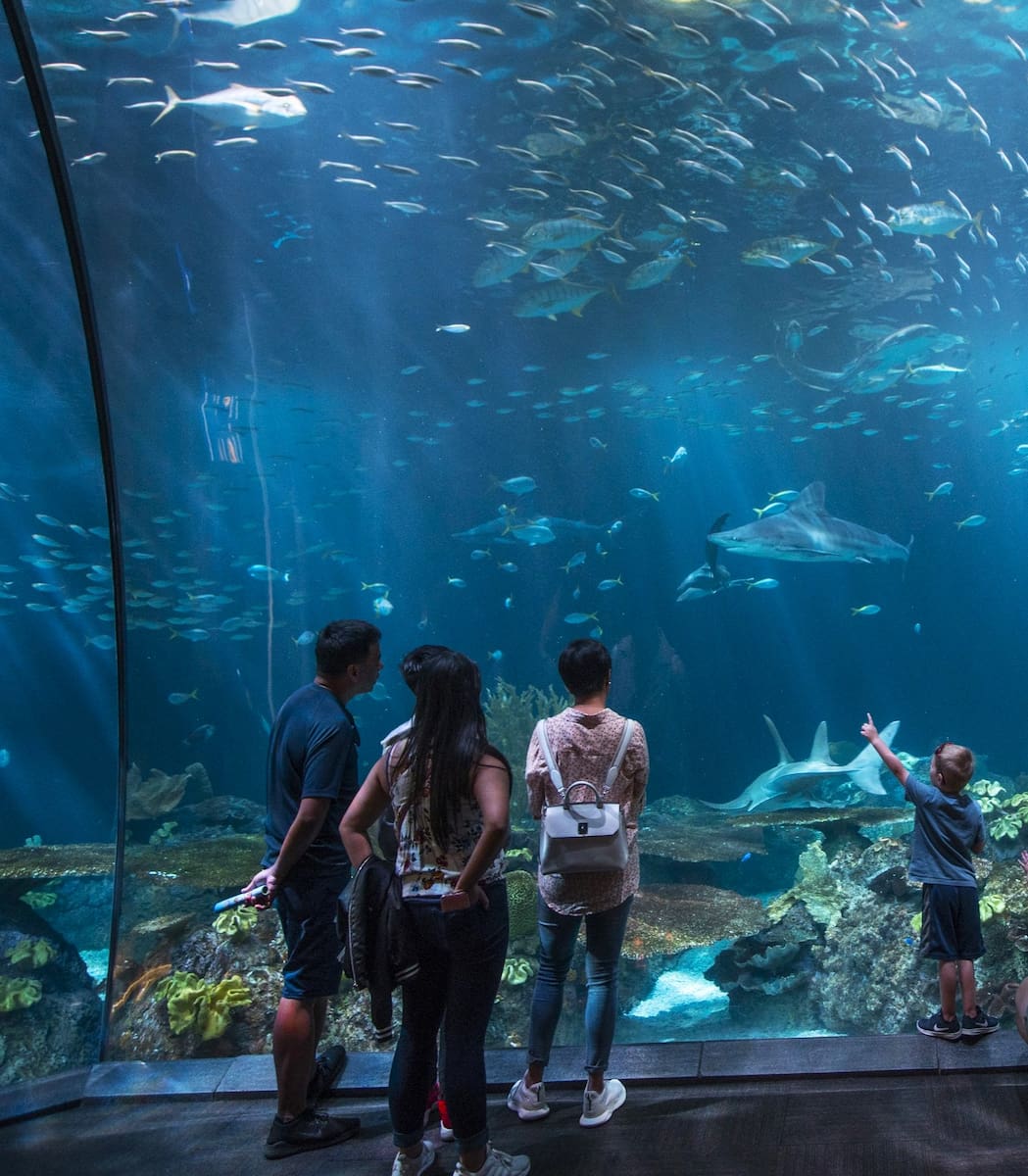 Shedd Aquarium, Chicago Shedd Aquarium, Chicago