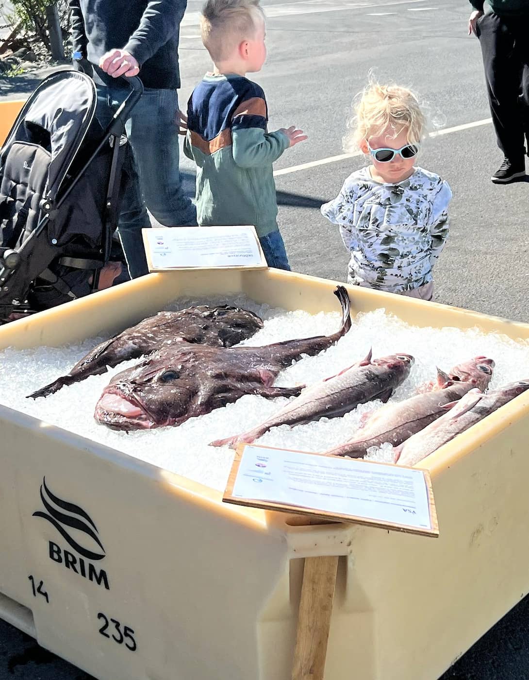 Sjómannadagurinn, Vik Sjómannadagurinn, Vik