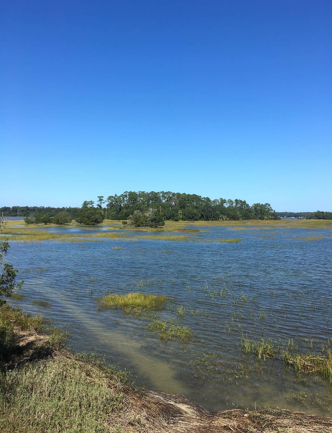 Skidaway Island State Park Savannah Skidaway Island State Park Savannah