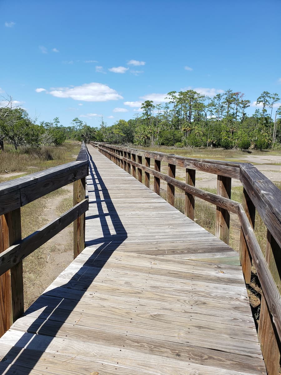 Skidaway Island State Park Savannah Skidaway Island State Park Savannah