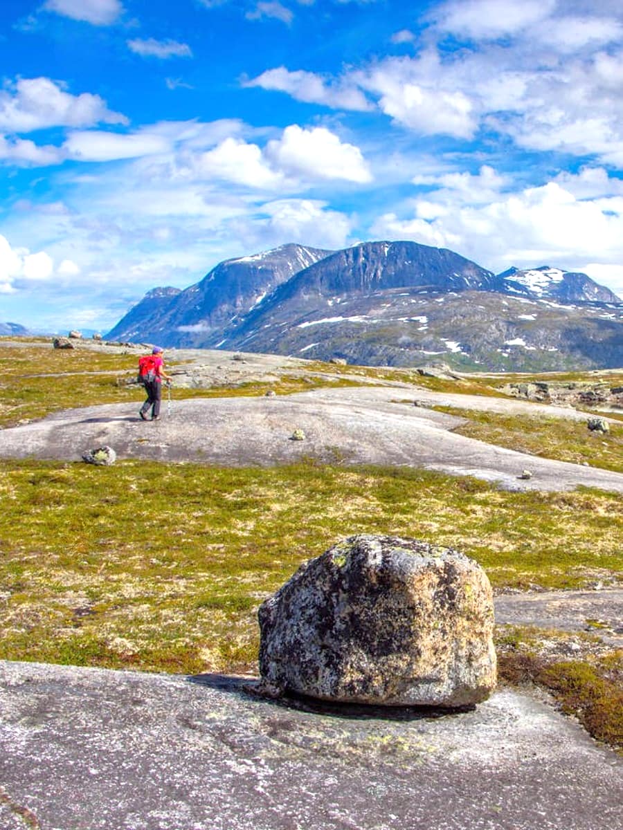 Spring Blooms, Narvik
