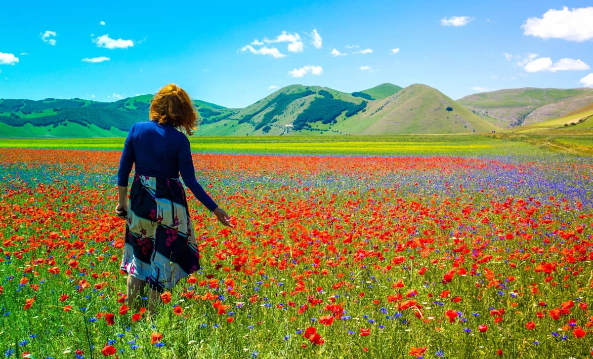 Spring Blooms Umbrian Countryside Spring Blooms Umbrian Countryside