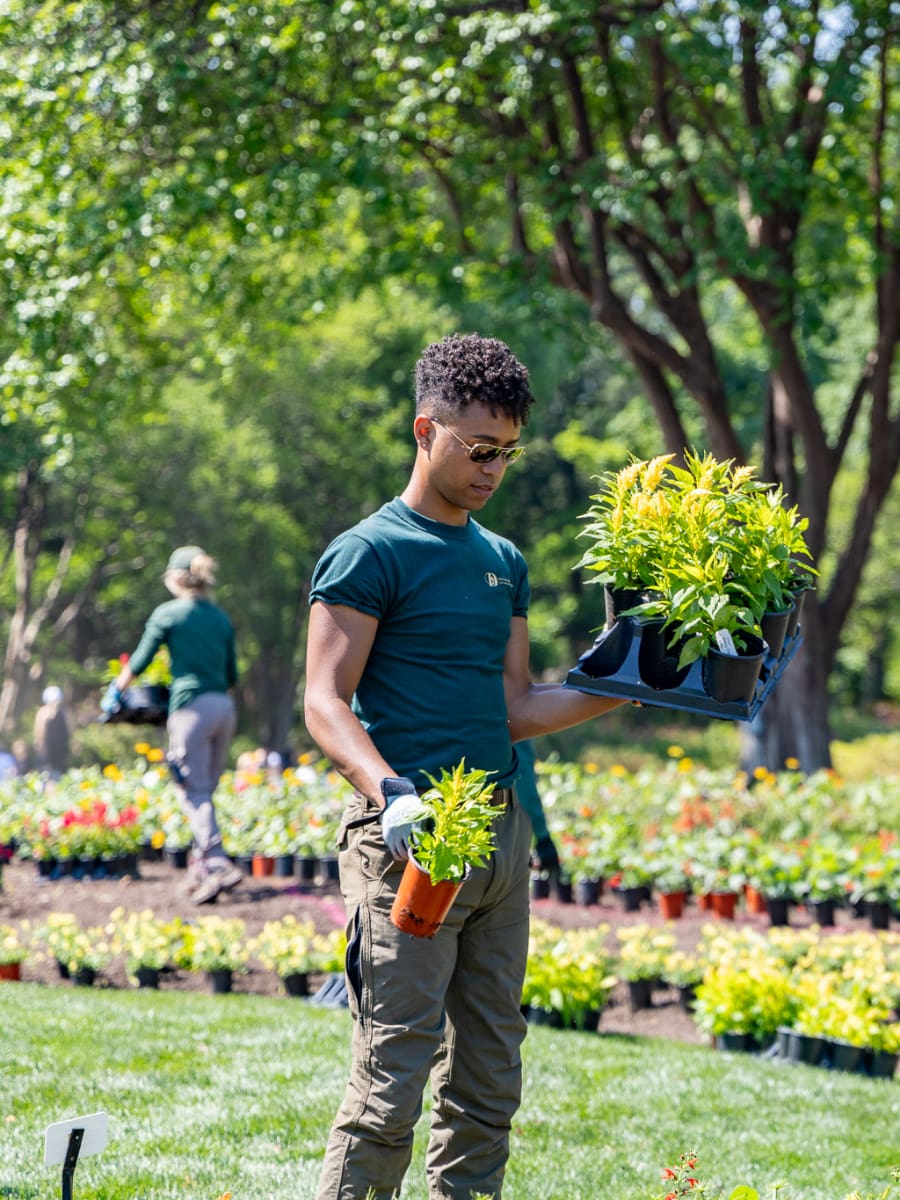 Spring in Dallas Arboretum, Dallas Spring in Dallas Arboretum, Dallas