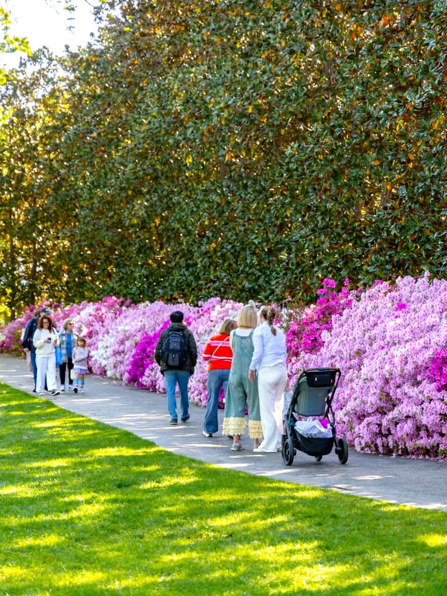 Spring in Dallas Arboretum, Dallas Spring in Dallas Arboretum, Dallas