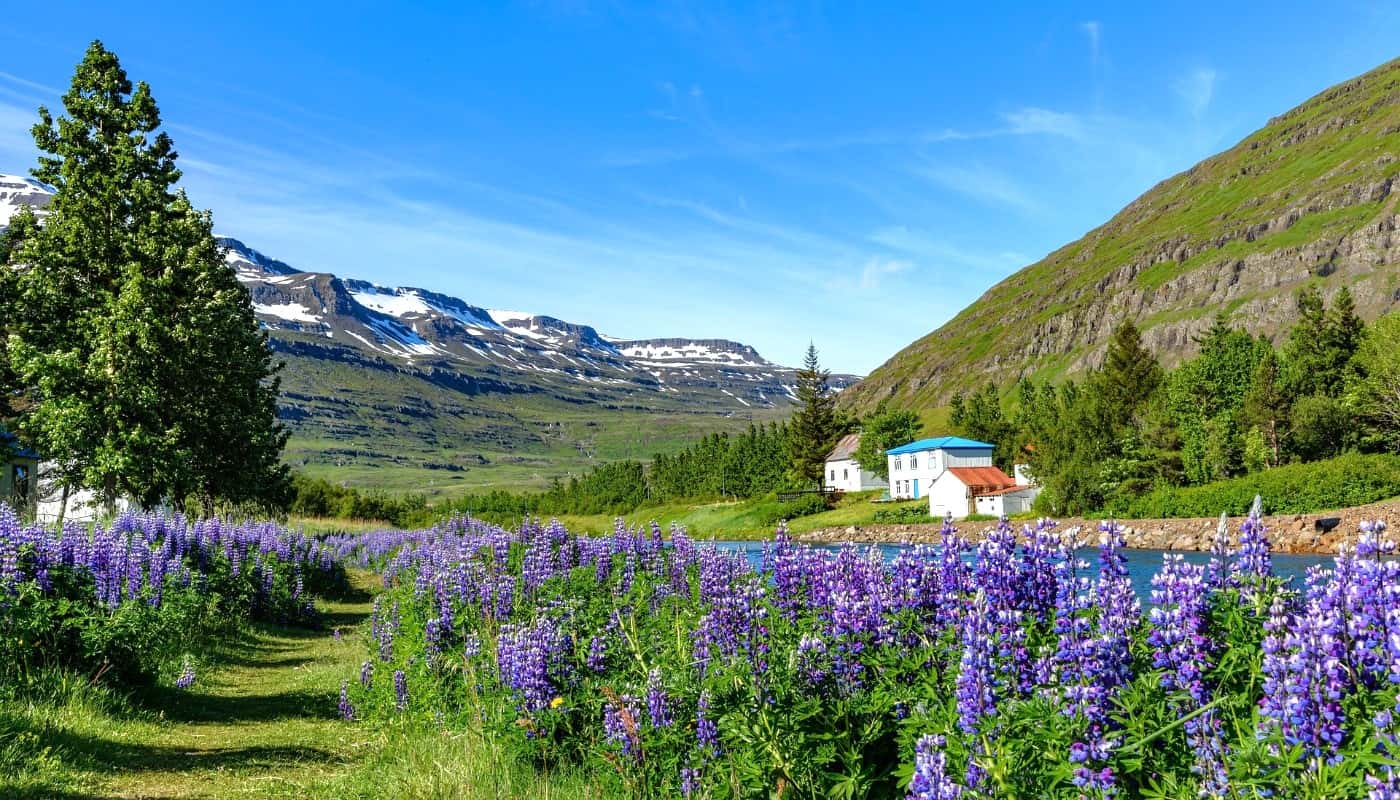 Spring in Höfn