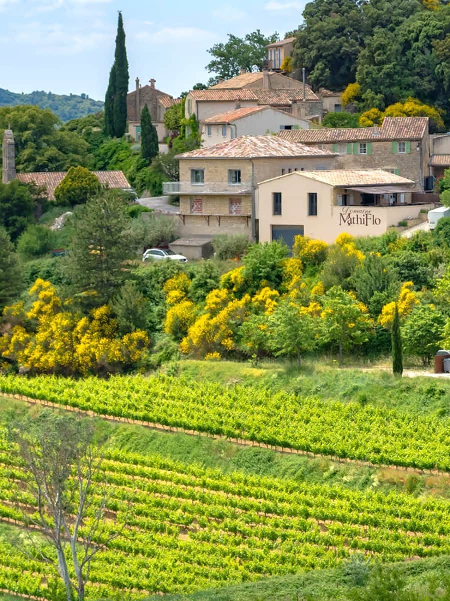 Spring in Provence Spring in Provence