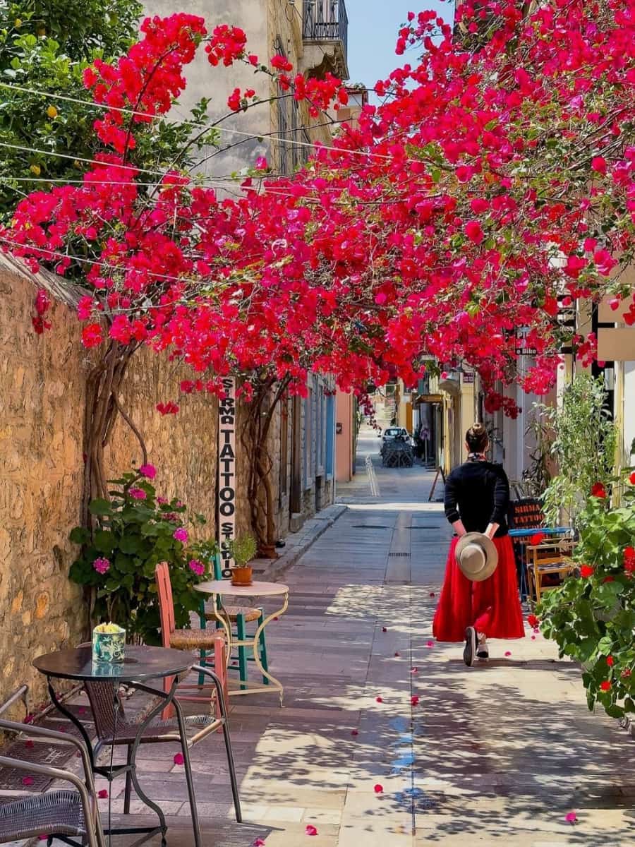 Spring in Skopelos Island Spring in Skopelos Island