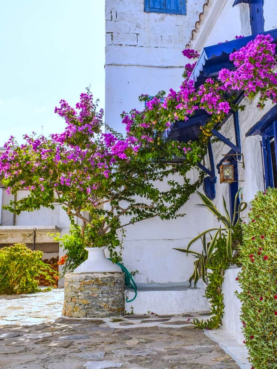 Spring in Skopelos Island Spring in Skopelos Island