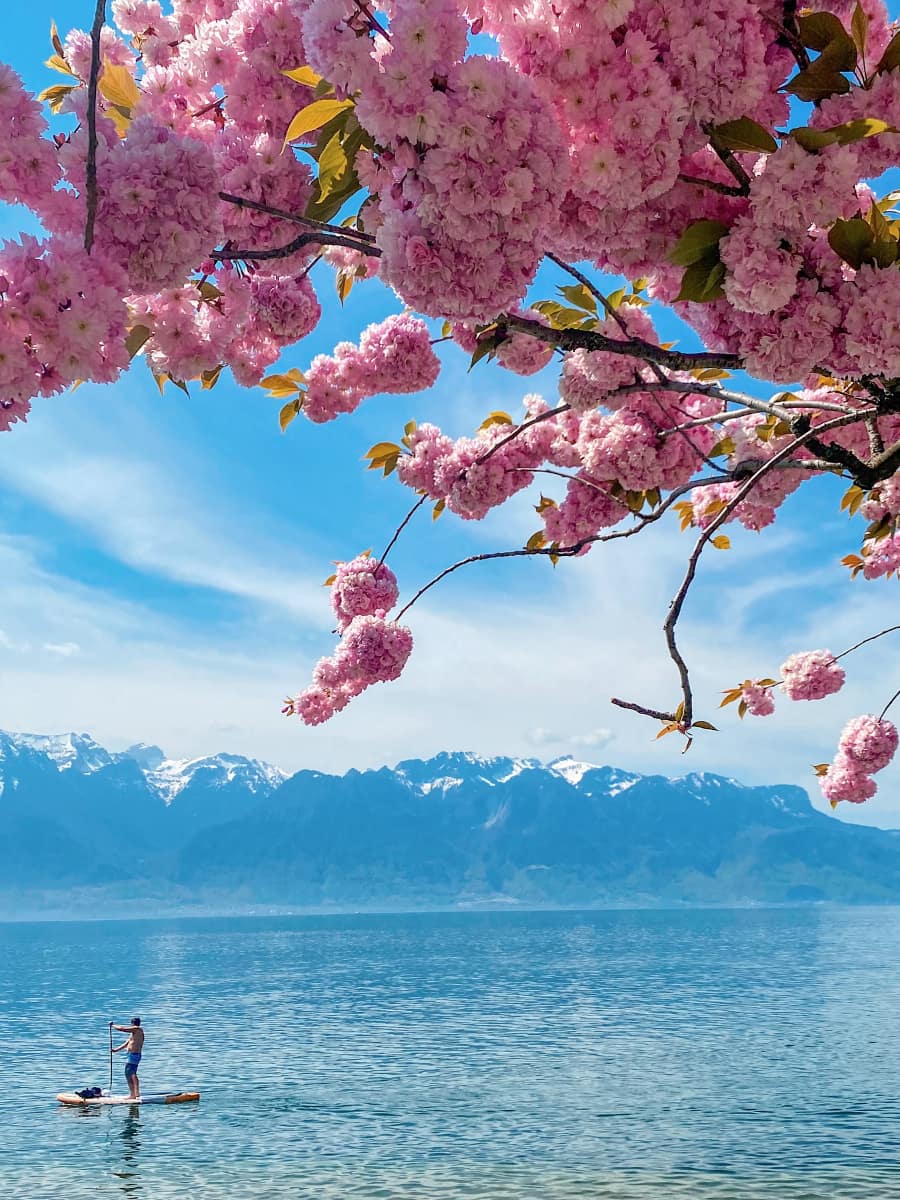 Spring in Vevey