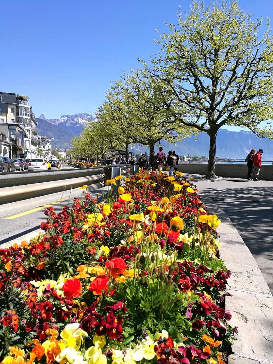 Spring in Vevey