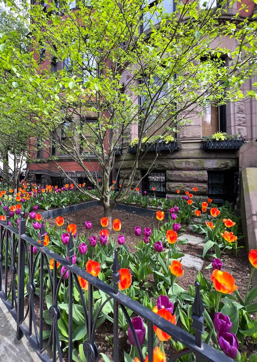 Spring in Boston Spring in Boston