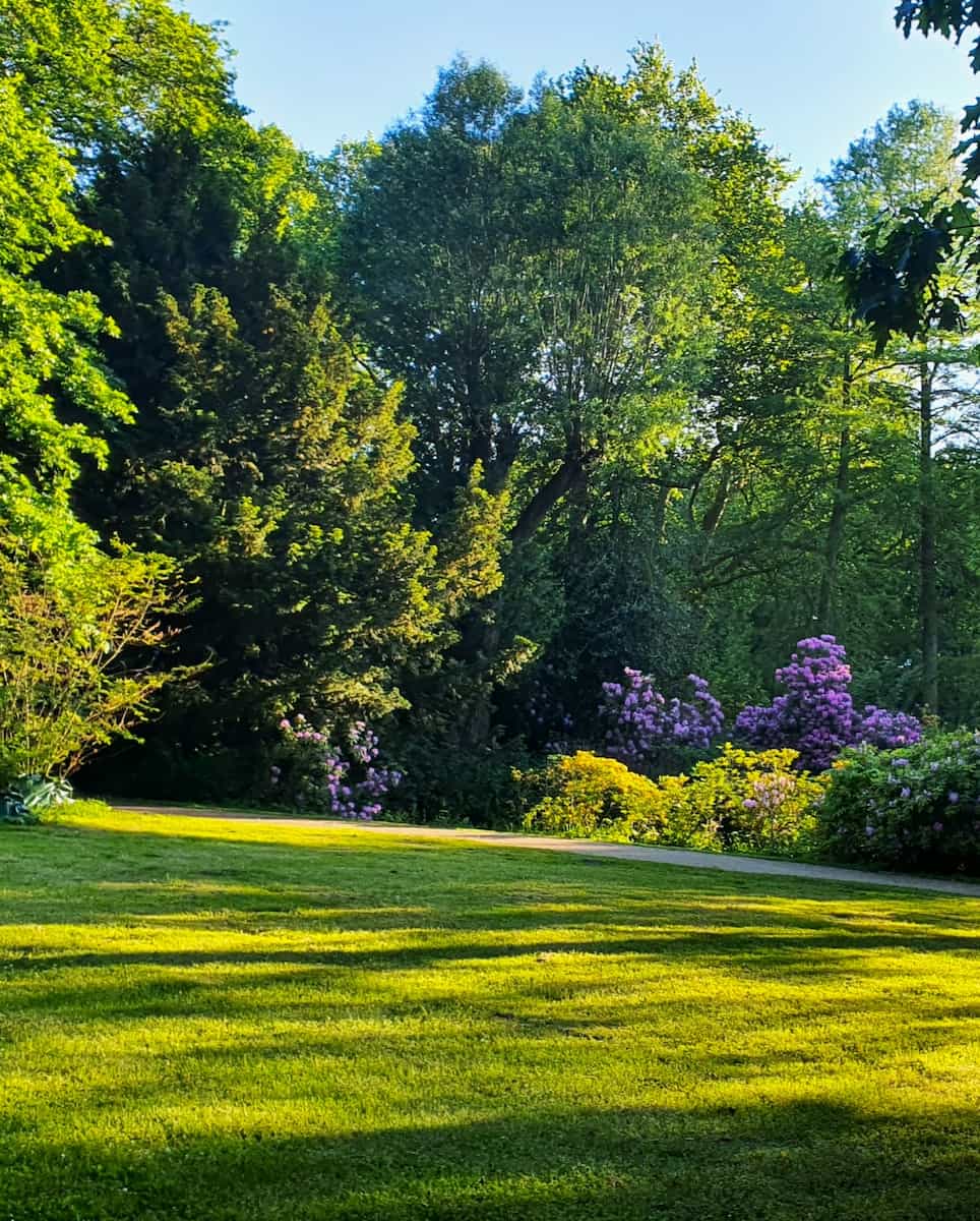 Stadtpark, Lübeck Stadtpark, Lübeck