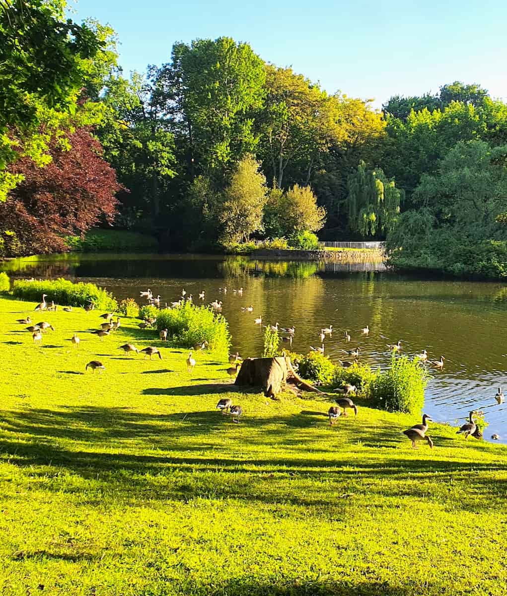Stadtpark, Lübeck Stadtpark, Lübeck