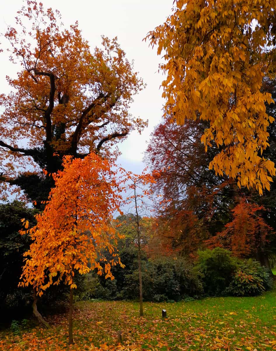 Stadtpark in Autumn, Lübeck Stadtpark in Autumn, Lübeck