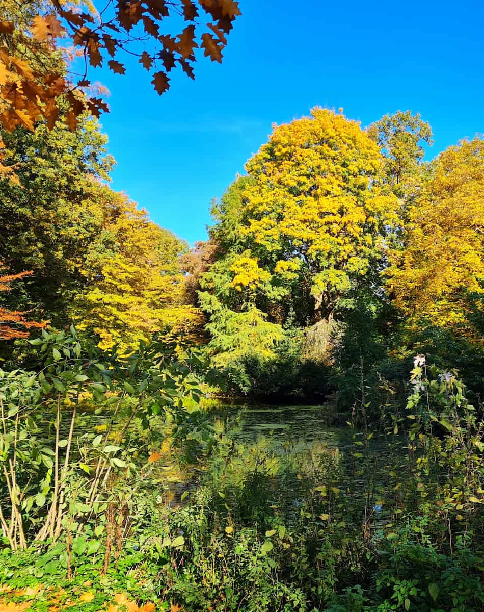 Stadtpark in Autumn, Lübeck Stadtpark in Autumn, Lübeck