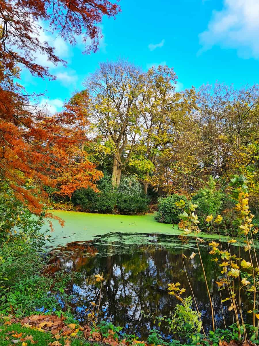 Stadtpark in Autumn, Lübeck Stadtpark in Autumn, Lübeck