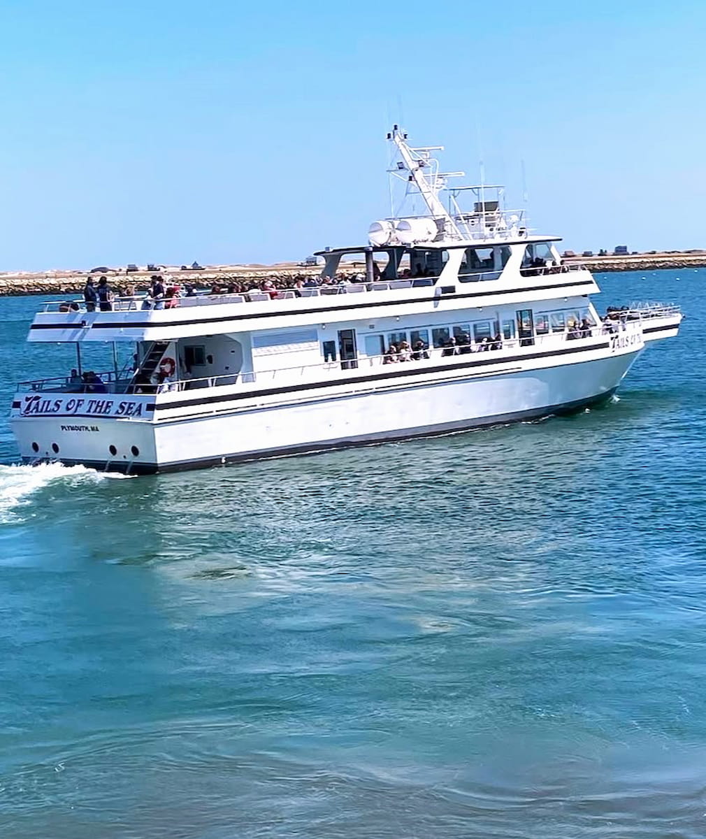 Stellwagen Bank, Boston Stellwagen Bank, Boston