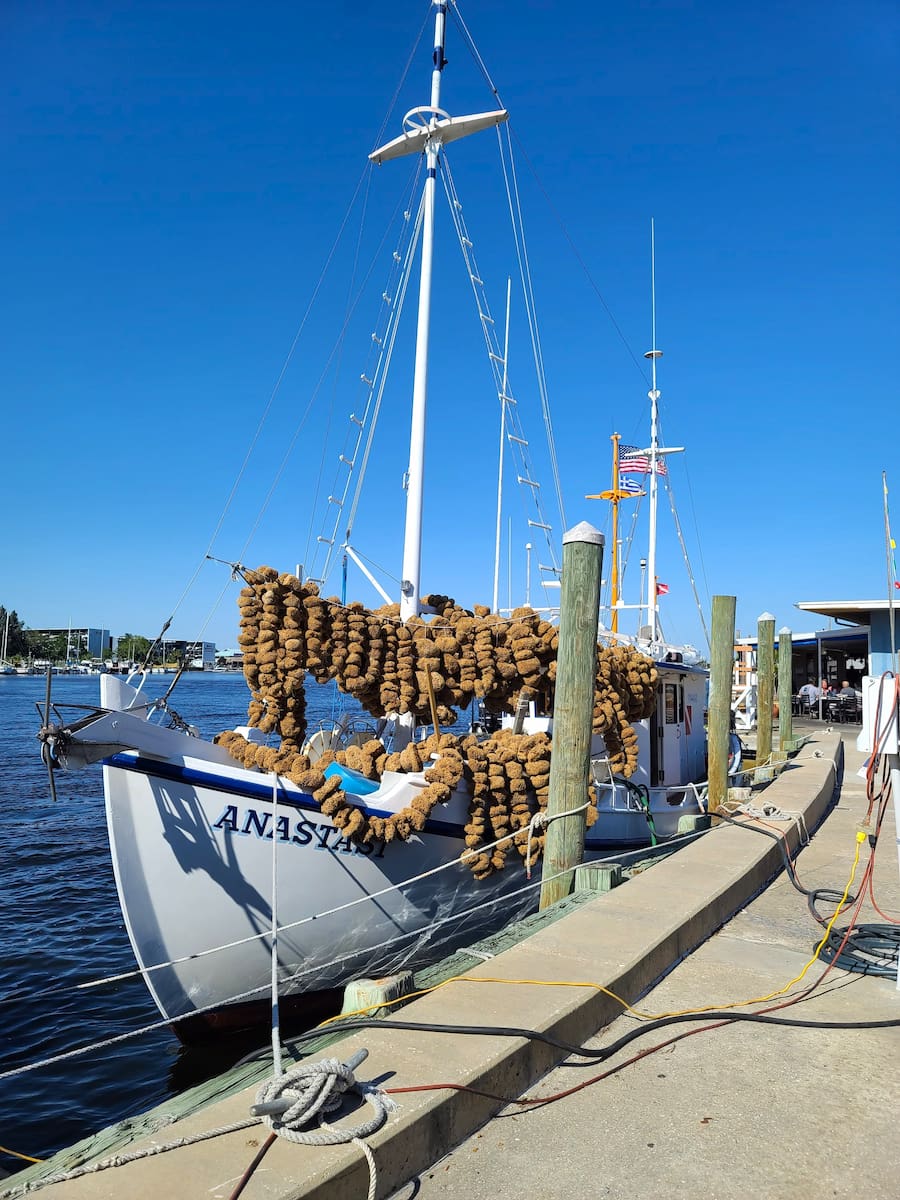 Tarpon Springs Tarpon Springs