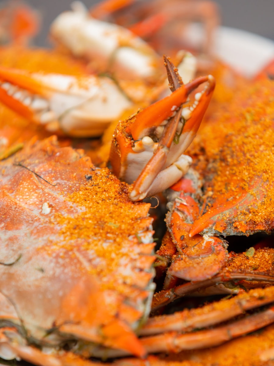 The Little River Blue Crab Festival Myrtle Beach The Little River Blue Crab Festival Myrtle Beach