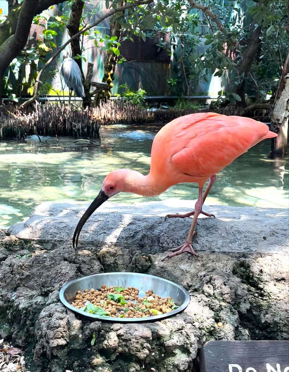 The Florida Aquarium The Florida Aquarium