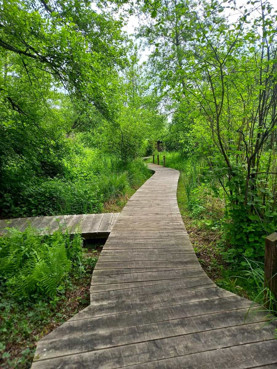 The Regional Natural Park, Treviso