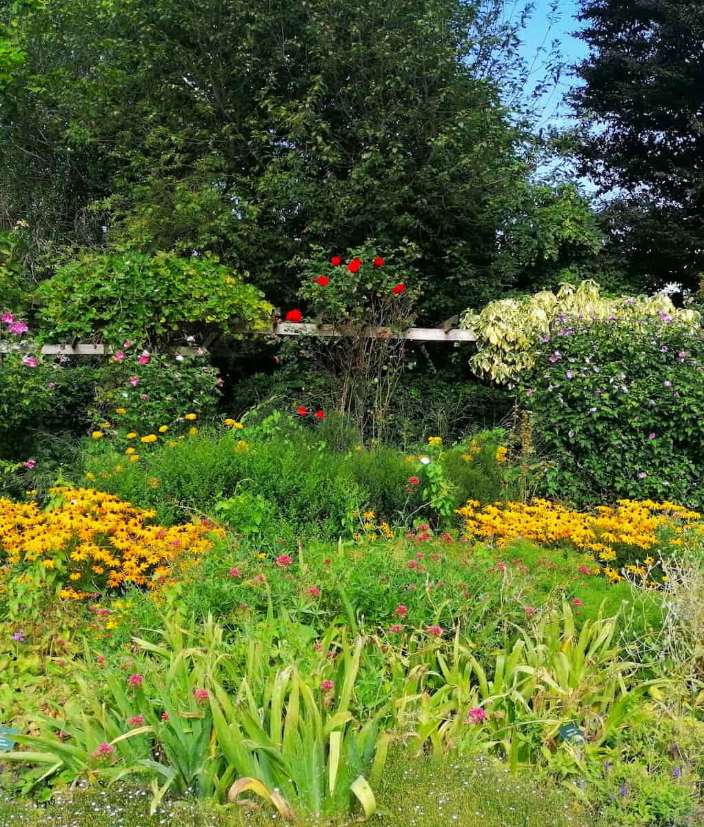 The Schulgarten, Lübeck The Schulgarten, Lübeck