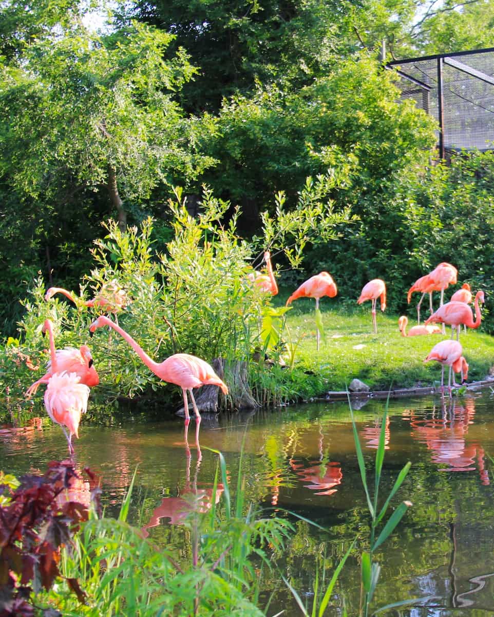 Toronto Zoo, Toronto Toronto Zoo, Toronto