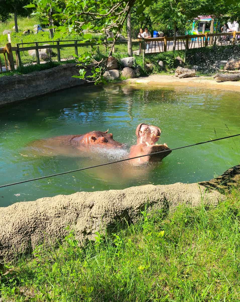 Toronto Zoo, Toronto Toronto Zoo, Toronto