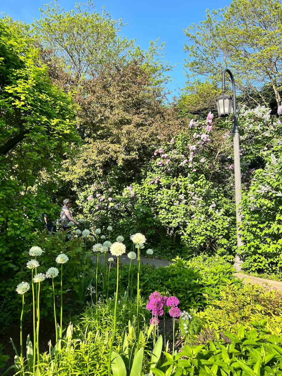 Toronto Music Garden Toronto Music Garden