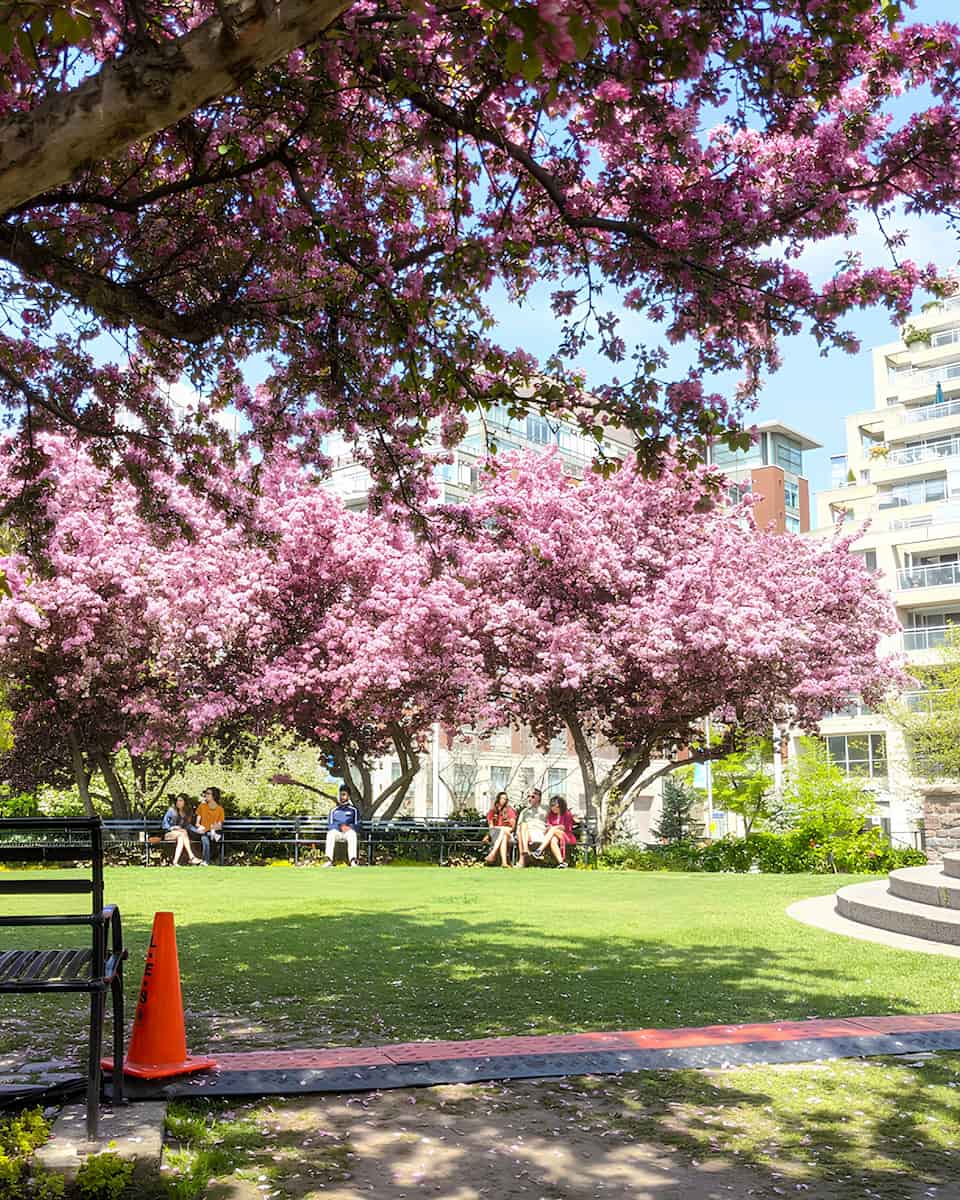 Toronto Music Garden Toronto Music Garden