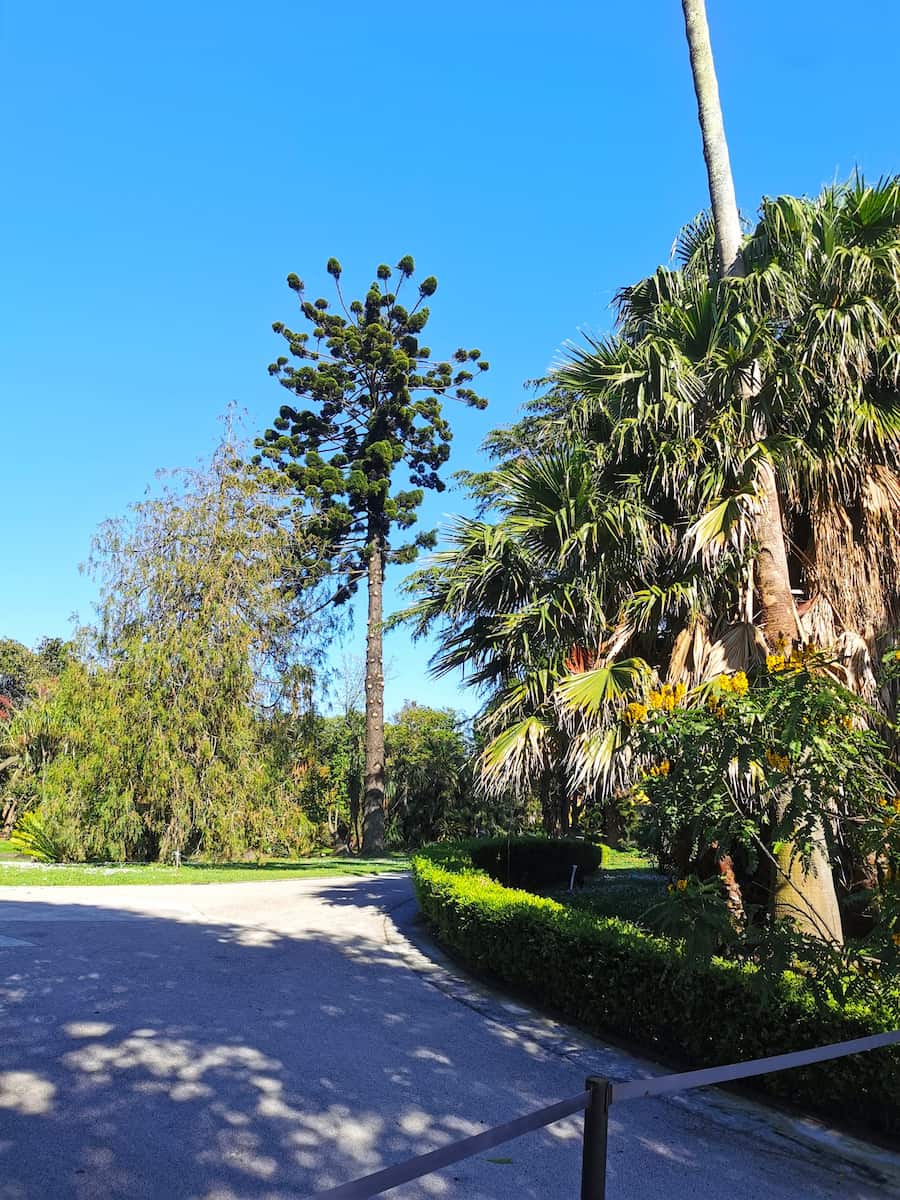 Tropical Botanical Garden, Belem Tropical Botanical Garden, Belem