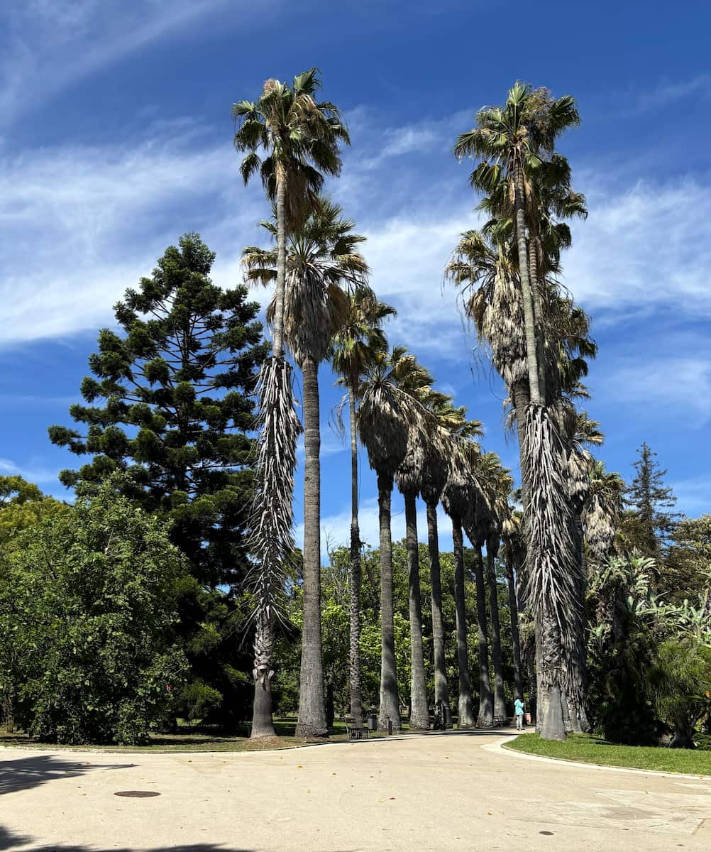 Tropical Botanical Garden, Belem Tropical Botanical Garden, Belem