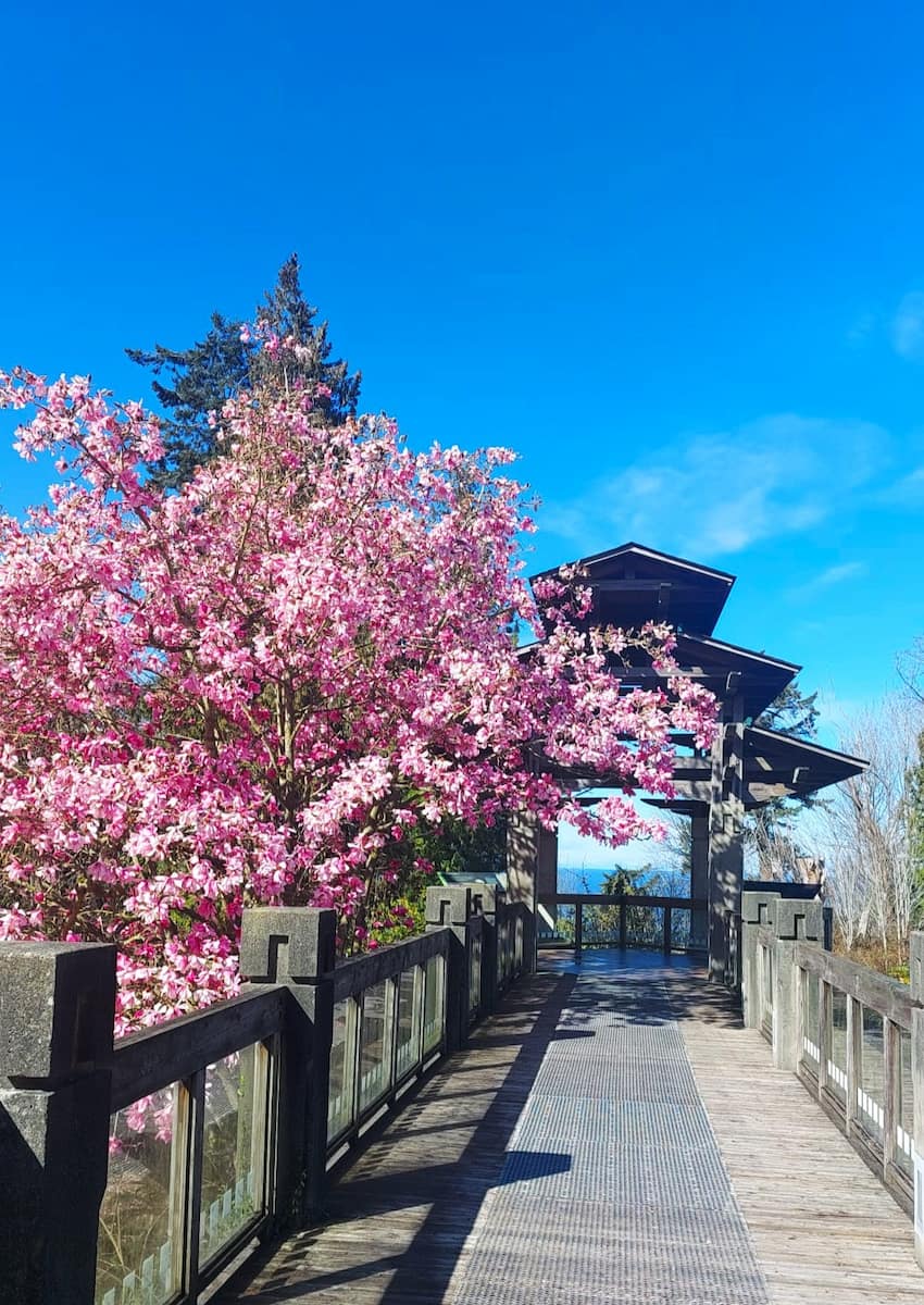 UBC Botanical Garden, Vancouver UBC Botanical Garden, Vancouver