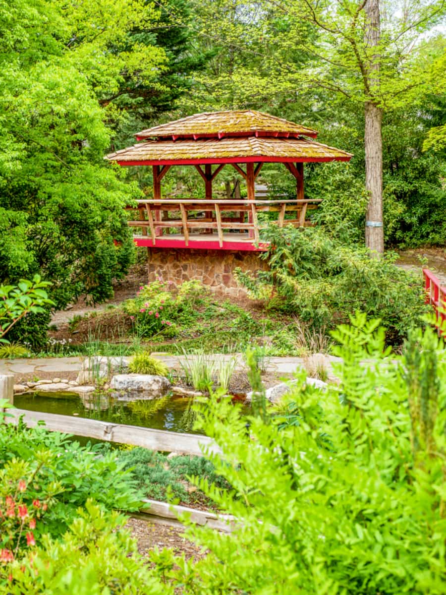 UNC Charlotte Botanical Gardens, Charlotte, NC