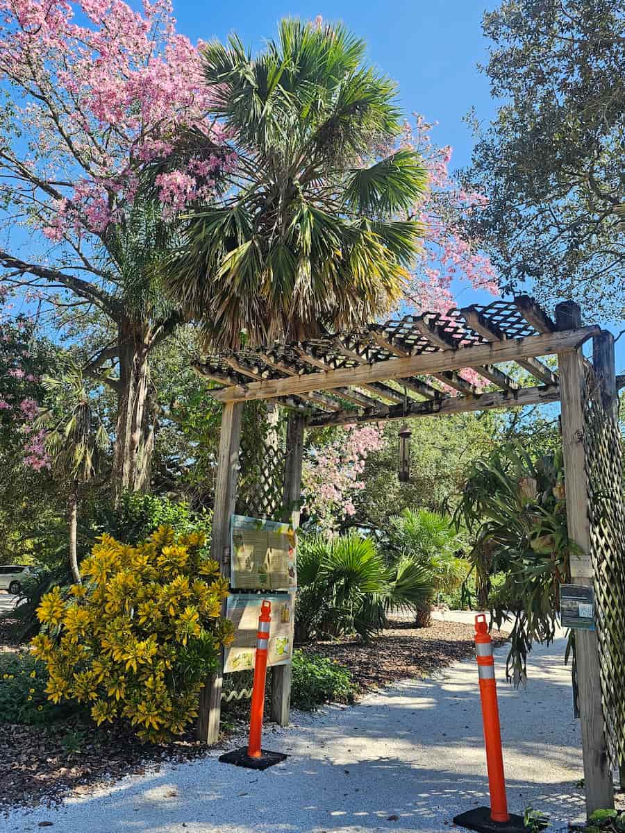 USF Botanical Gardens Tampa USF Botanical Gardens Tampa