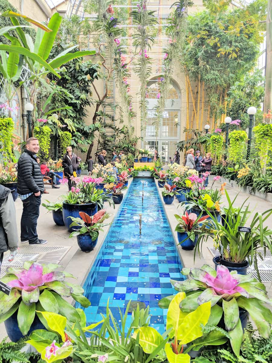 Inside of United States Botanic Garden, Washington DC