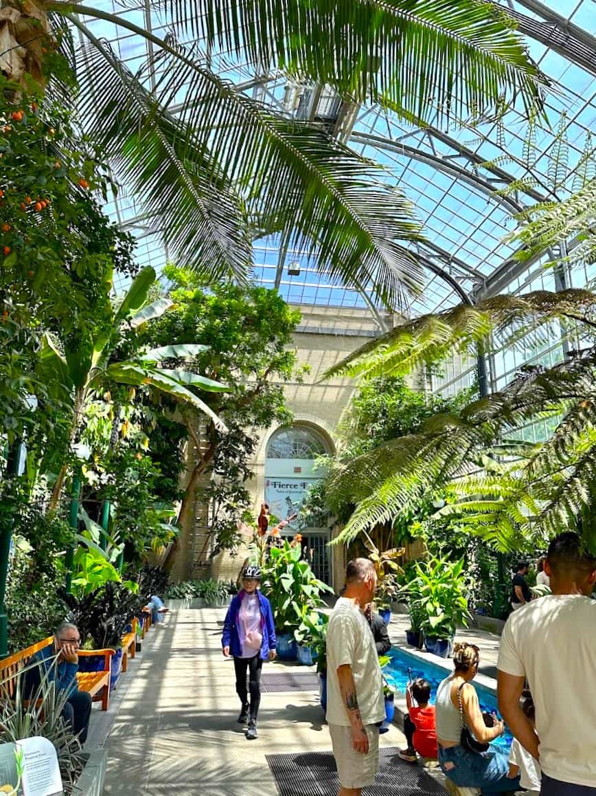Inside of United States Botanic Garden, Washington DC